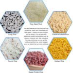 Artificial Nutrition Rice Production Line