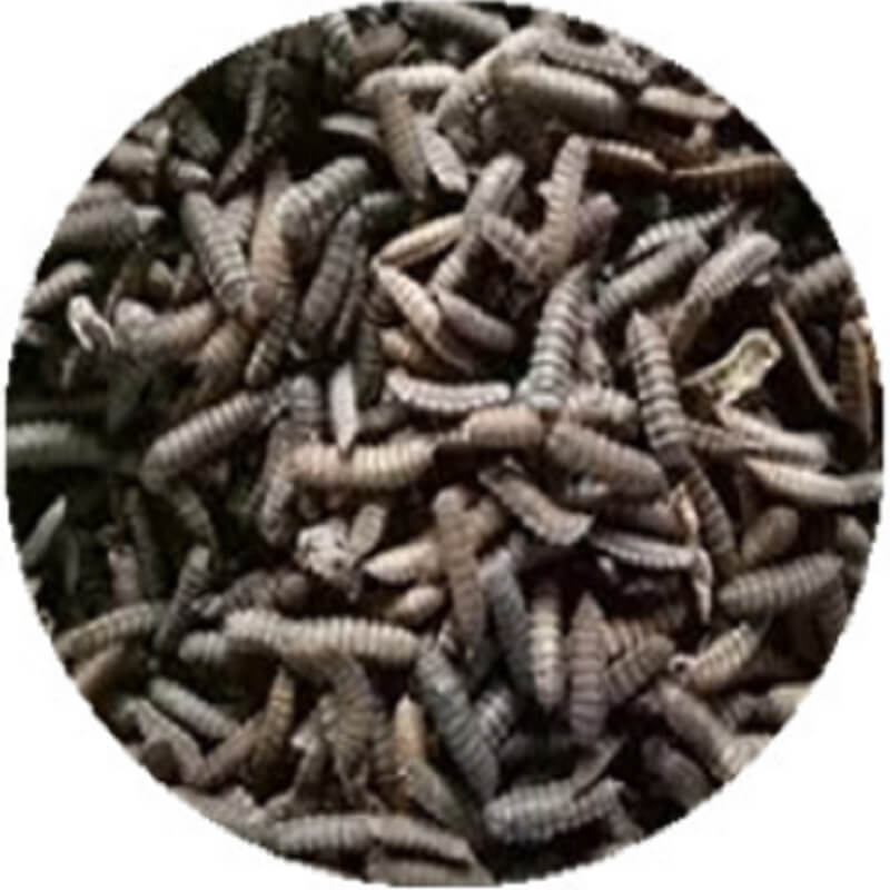 Industry Microwave Drying Machine